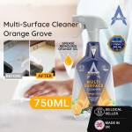 Cleaning