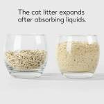 Cat Litters