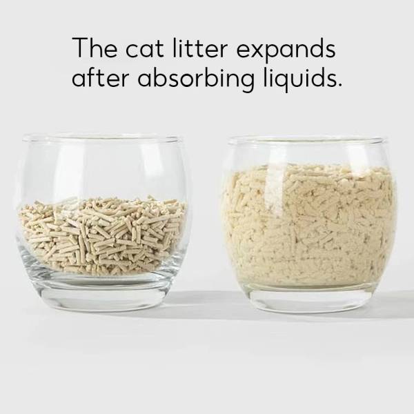Cat Litters