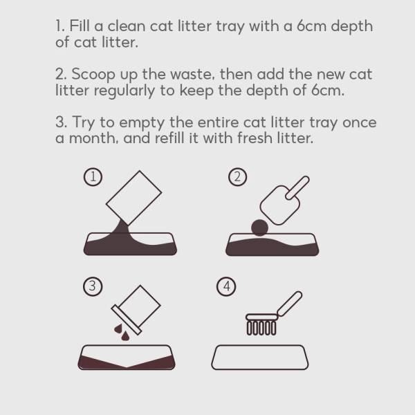 Cat Litters