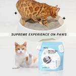 Cat Litters