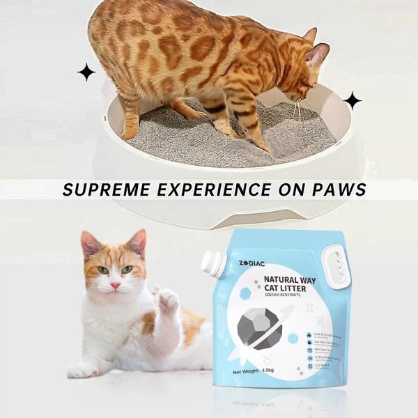 Cat Litters