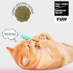 Pets