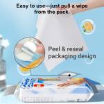 Household Wipes