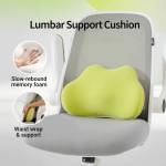 Cushion & Covers