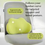 Cushion & Covers