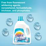 Liquid Detergent