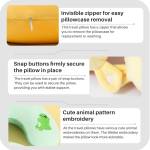 Travel Accessories