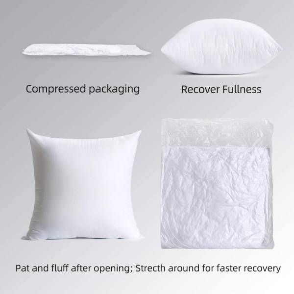 Cushion & Covers